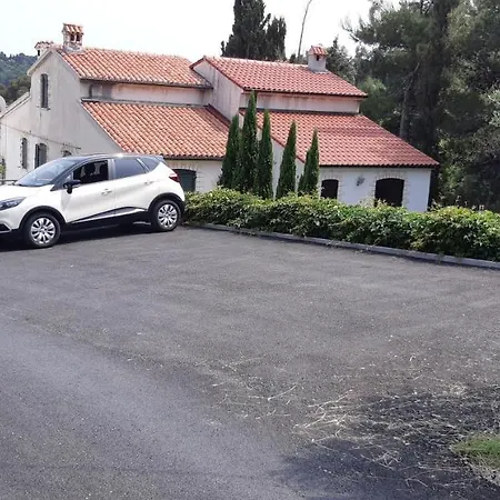 Vendégház Violeta Palit