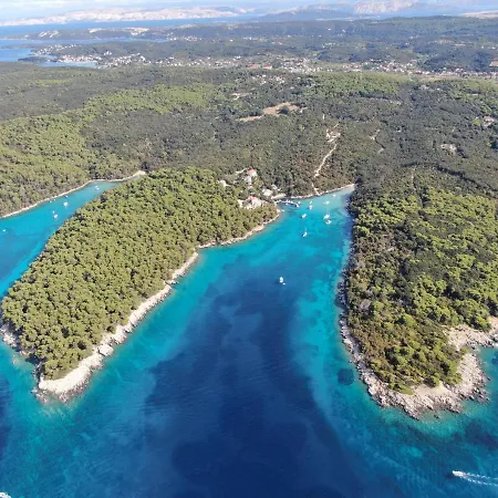 Violeta Πανσιόν Palit