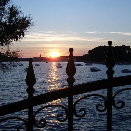 Violeta Гостевой дом Palit