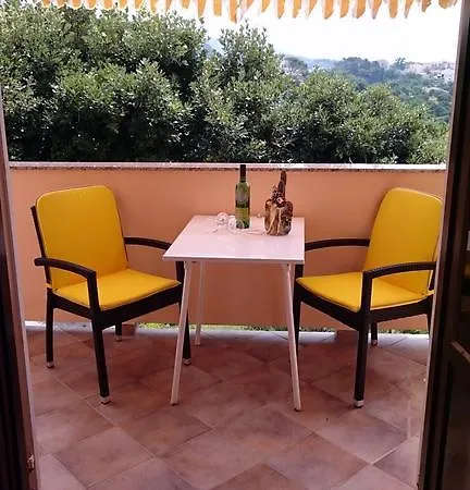 Vendégház Violeta Palit