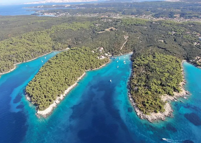 Violeta Πανσιόν Palit