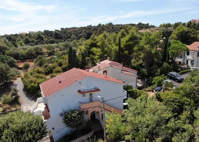Πανσιόν Violeta Palit